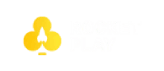 Rocket Play Casino Recenzja